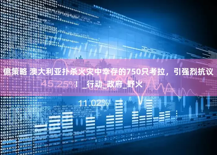 億策略 澳大利亚扑杀火灾中幸存的750只考拉，引强烈抗议！_行动_政府_野火