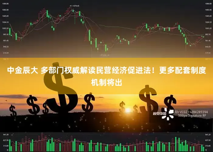 中金辰大 多部门权威解读民营经济促进法！更多配套制度机制将出