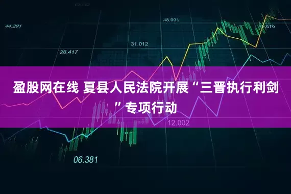 盈股网在线 夏县人民法院开展“三晋执行利剑”专项行动