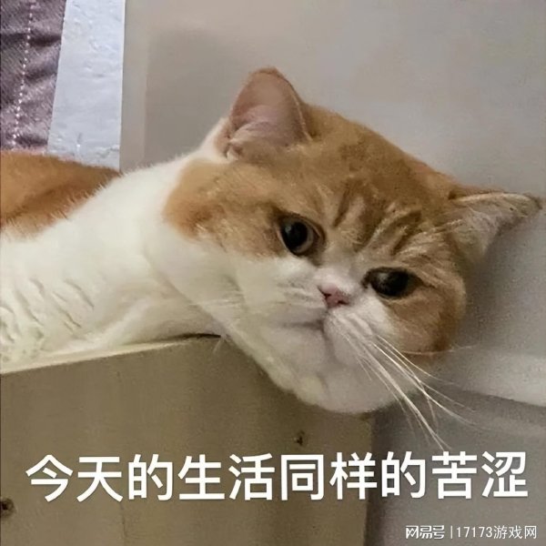 同花顺e配 白嫖党狂喜！魔兽国服20周年幻化免费领，玩家：难怪爆率变高
