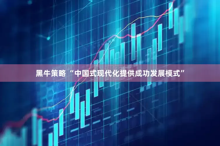黑牛策略 “中国式现代化提供成功发展模式”