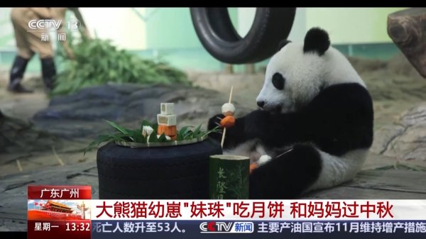 智慧优配 前方高萌！动物园中秋限定“吃播” 看看它们的月饼是什么馅